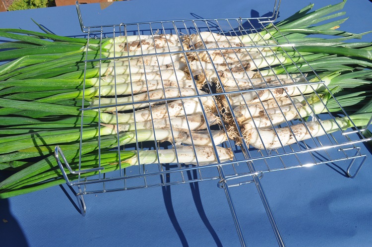 "Calçotada y salsa para calçots"